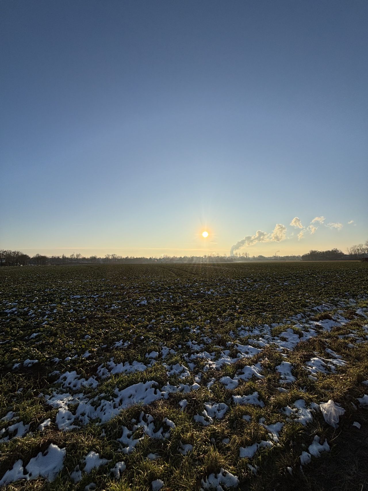 Ausblick ins Grüne